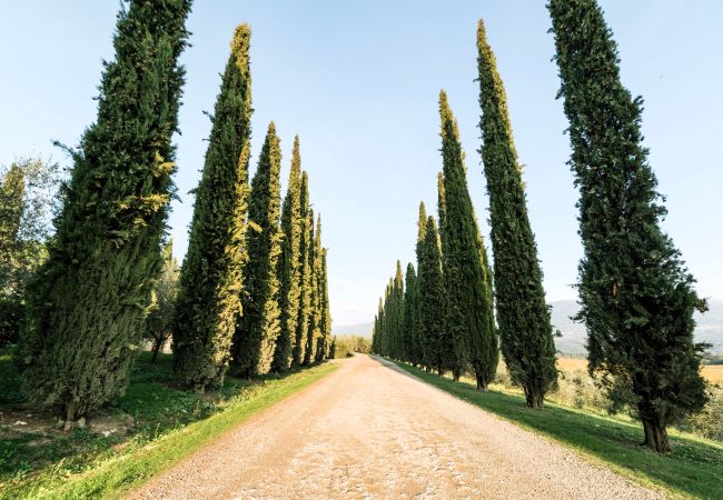  in Rignano sull´Arno - Fattoria del Chianti close to Florence for two